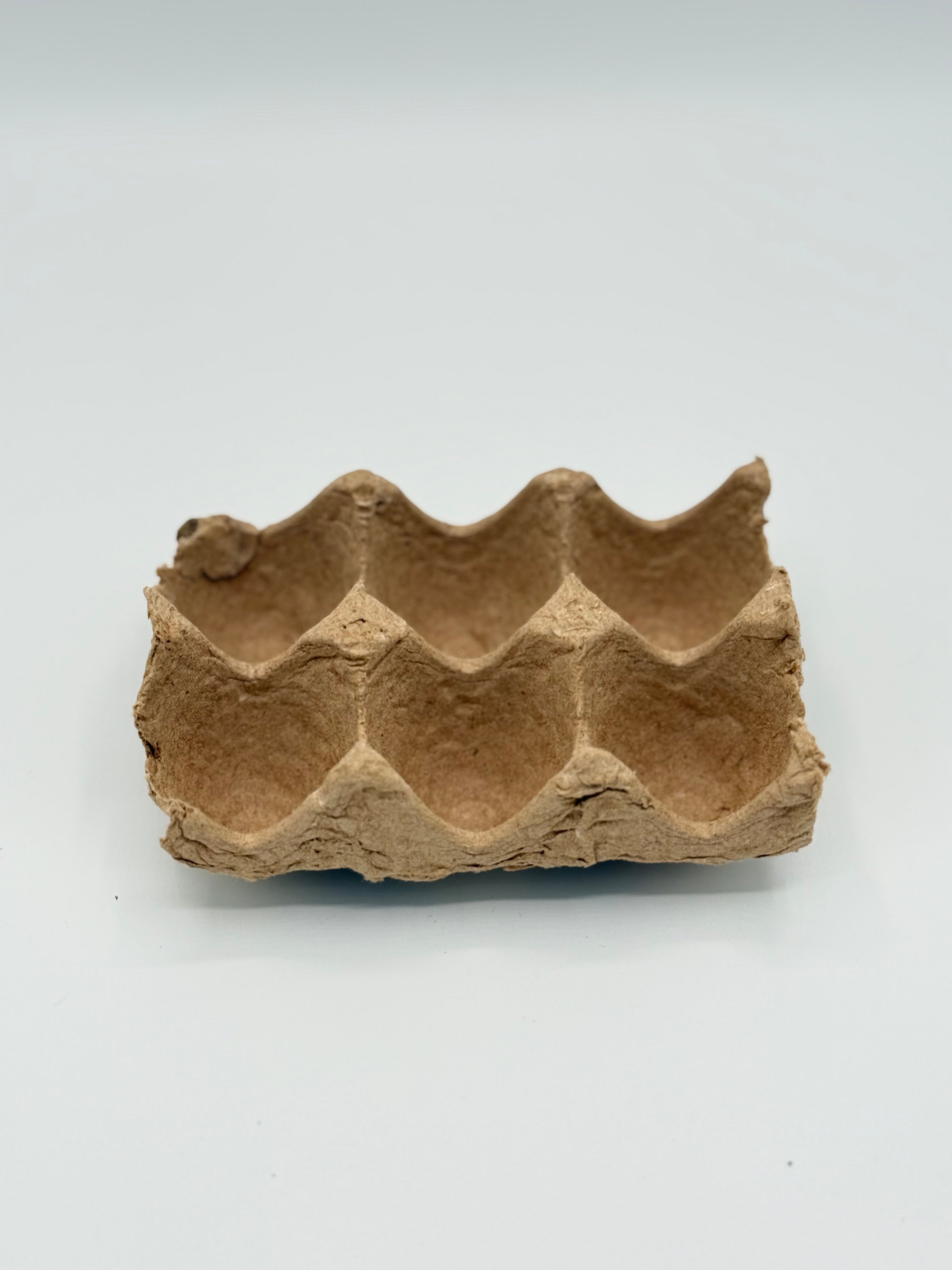 6 Egg Cardboard Carton – Rustic Easter & Spring Decor