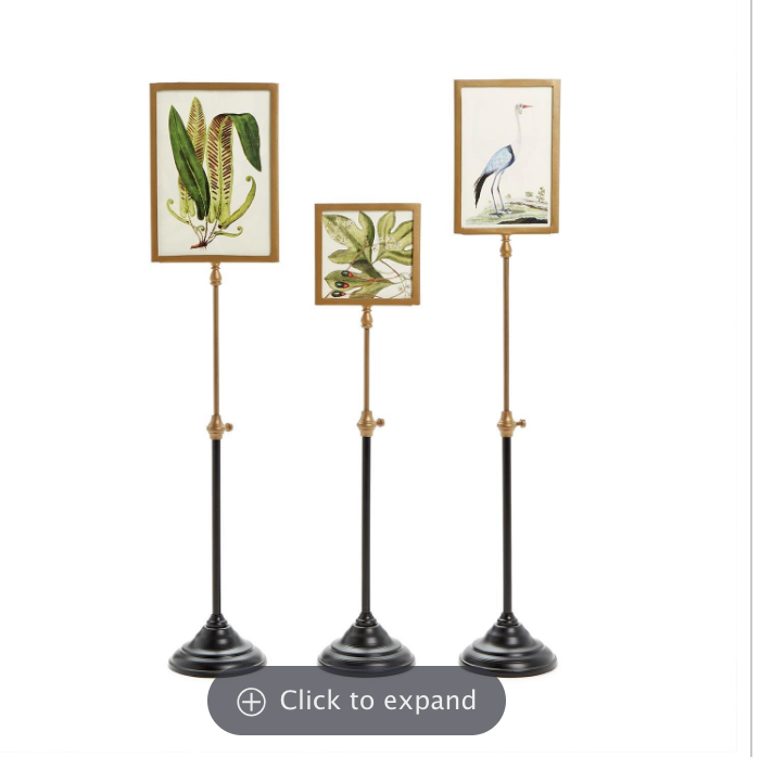 Photo Frames Telescoping Pole
