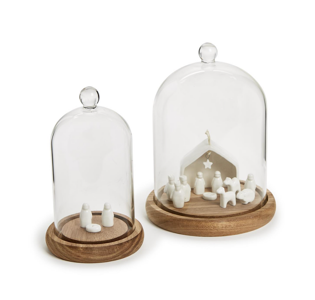 Cloche with Wooden Base