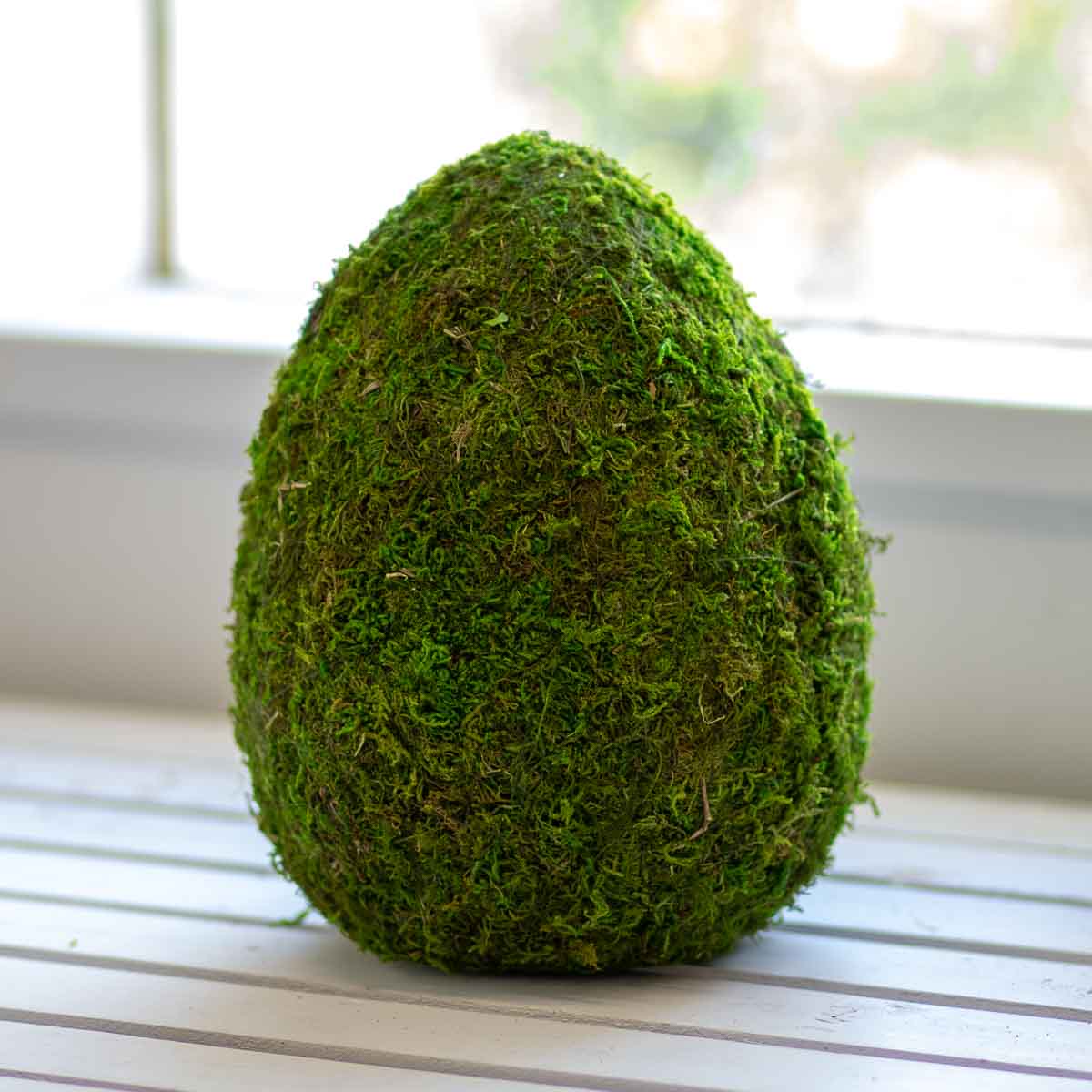 Moss Egg Decor | Rustic Spring & Easter Accent